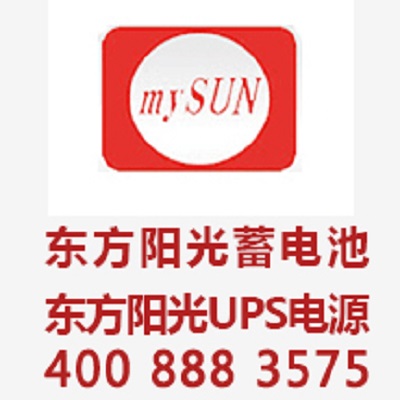 英威腾UPS电源的重要性(马士基（中国）航运有限公司南京分公司电脑数据中心机房使用)