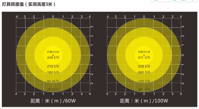 中智盛安ZS-ZLJC-E60W B型消防应急照明灯具