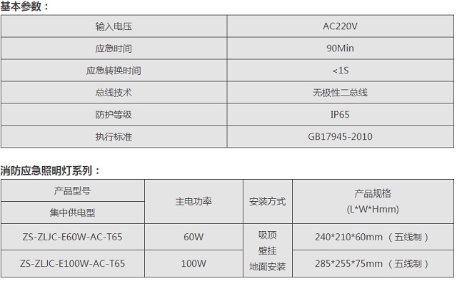 中智盛安ZS-ZLJC-E60W B型消防应急照明灯具