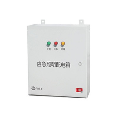 拿斯特壁挂式DC36V应急