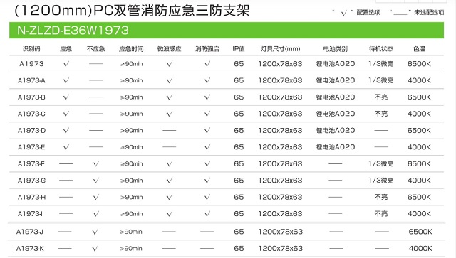 拿斯特PC双管消防应急三防支架-自电自控系列飞普利斯